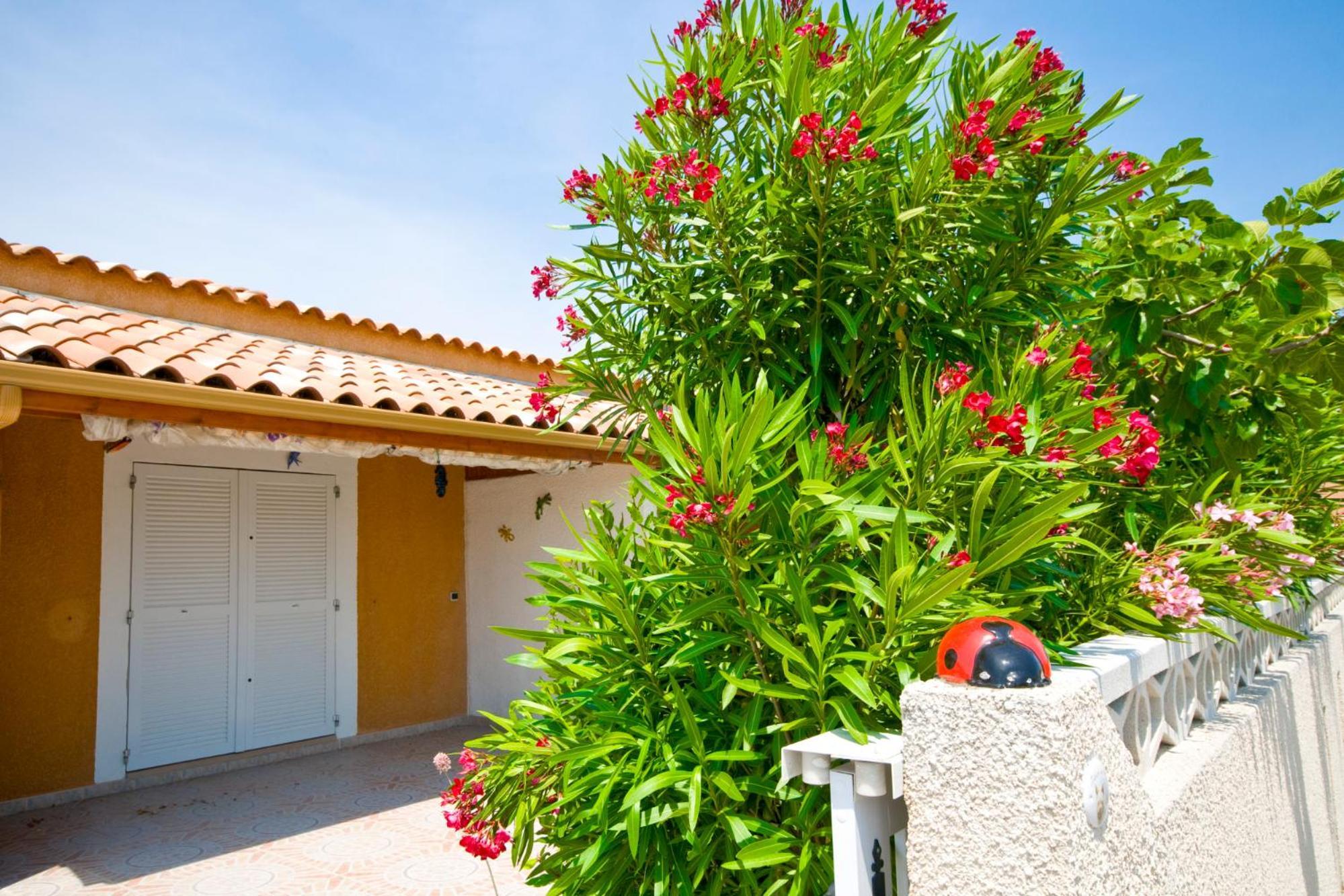 Holidayland Baie Des Oliviers Villa 36M2 1Chambre Fermee 6 Couchages Ou Villa 41M2 2Chambres Fermees 7 Couchages Narbonne Plage Exterior foto