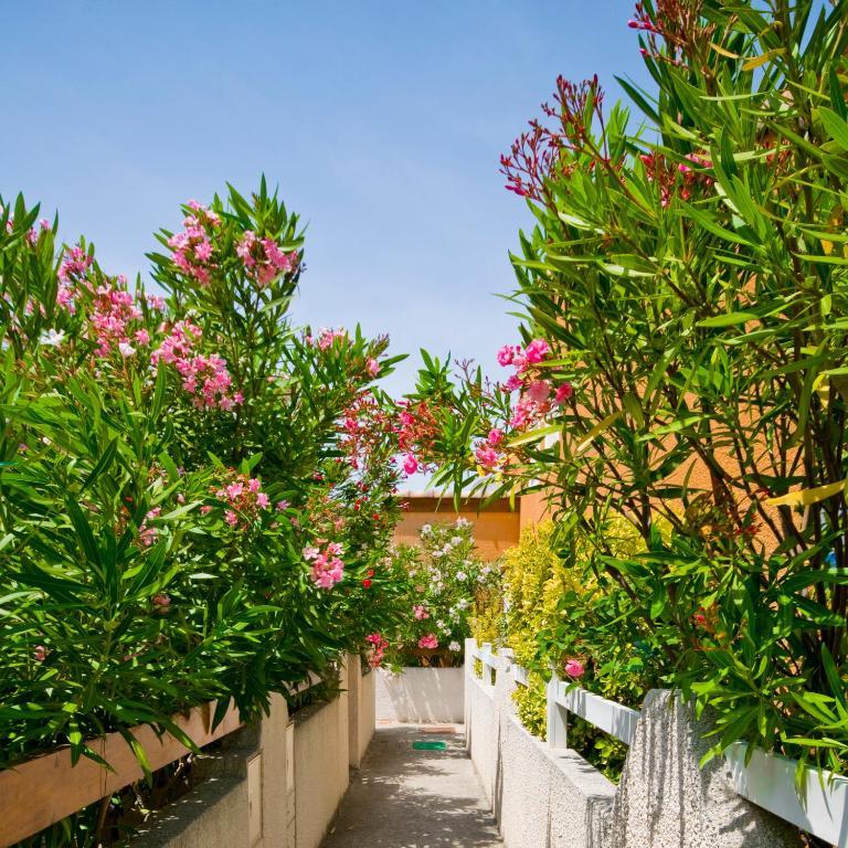 Holidayland Baie Des Oliviers Villa 36M2 1Chambre Fermee 6 Couchages Ou Villa 41M2 2Chambres Fermees 7 Couchages Narbonne Plage Zimmer foto